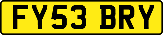 FY53BRY