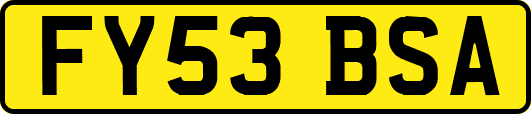 FY53BSA