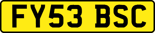 FY53BSC