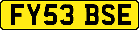 FY53BSE
