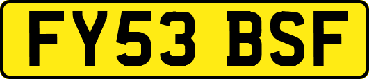 FY53BSF