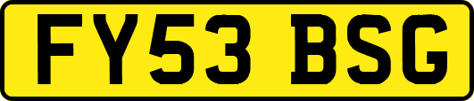 FY53BSG
