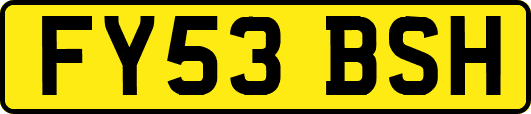 FY53BSH