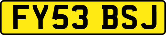 FY53BSJ