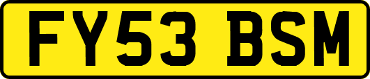 FY53BSM