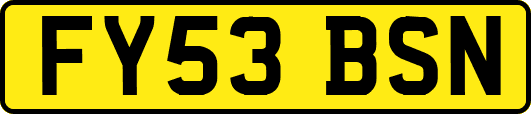 FY53BSN