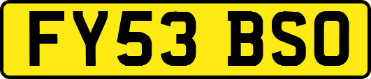 FY53BSO