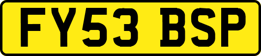 FY53BSP