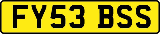 FY53BSS
