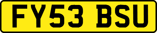 FY53BSU