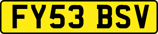 FY53BSV