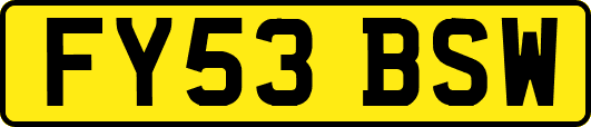 FY53BSW