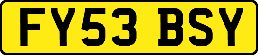 FY53BSY