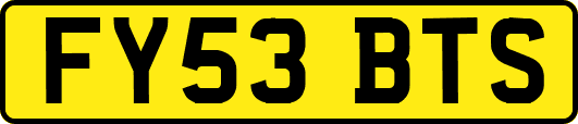 FY53BTS