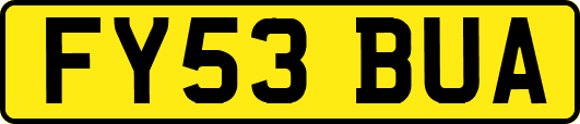 FY53BUA