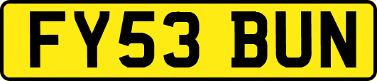 FY53BUN