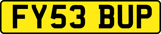 FY53BUP