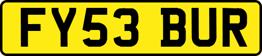 FY53BUR