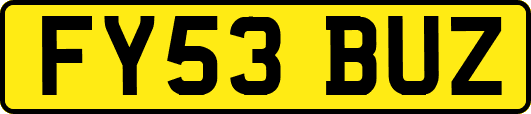 FY53BUZ