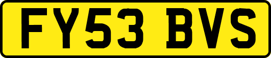 FY53BVS