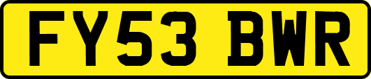 FY53BWR