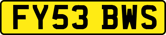 FY53BWS