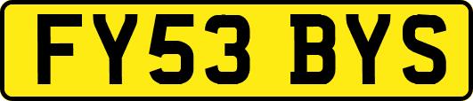 FY53BYS