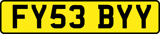 FY53BYY
