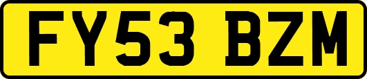 FY53BZM