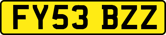 FY53BZZ
