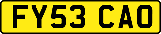 FY53CAO
