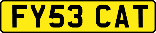 FY53CAT