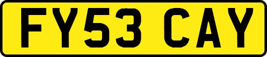 FY53CAY
