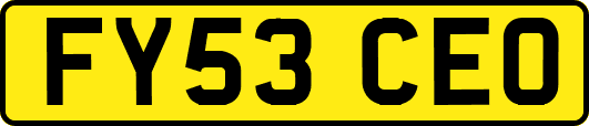 FY53CEO