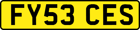 FY53CES
