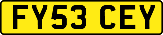 FY53CEY
