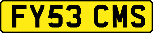 FY53CMS