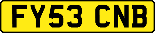 FY53CNB