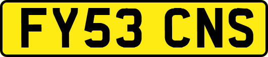 FY53CNS