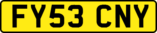 FY53CNY