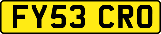 FY53CRO