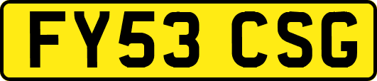 FY53CSG
