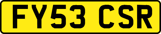 FY53CSR