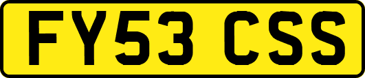 FY53CSS