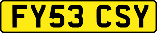 FY53CSY