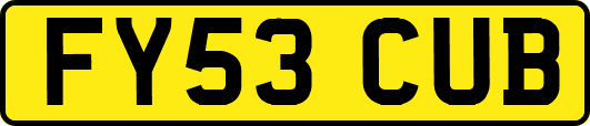 FY53CUB