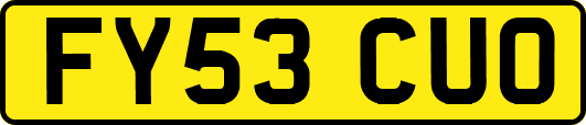 FY53CUO