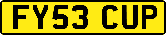 FY53CUP