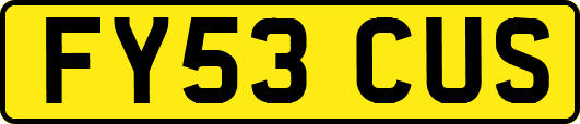 FY53CUS
