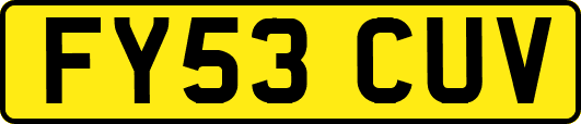 FY53CUV